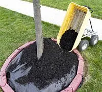 Local lawn care service near you across Fairless Hills, PA - McGettigan Lands