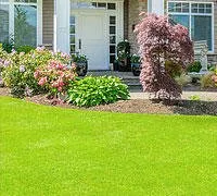 Top-rated yard cleanup service experts serving Fairless Hills, PA - McGettigan Lands