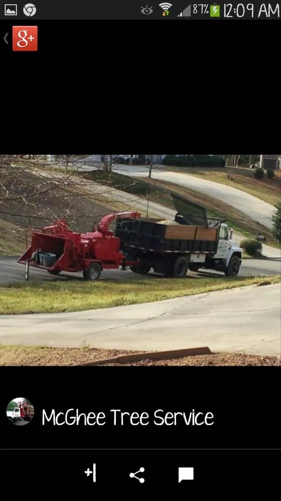 Professional lawn care service experts serving Canton, GA - McGhee Tree Service