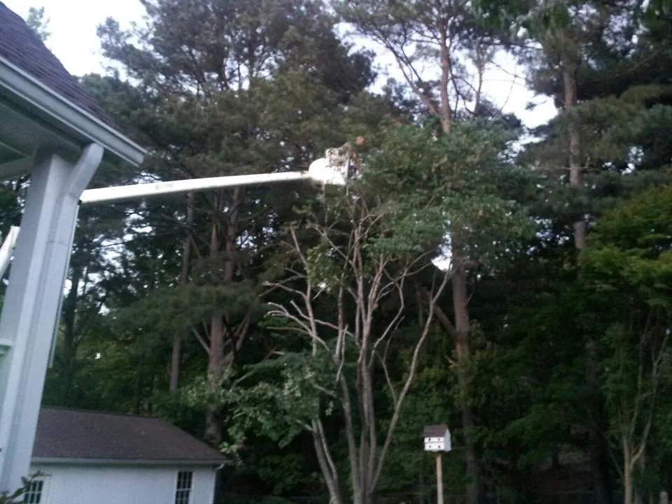 Expert landscaping services near you in Canton, GA by McGhee Tree Service