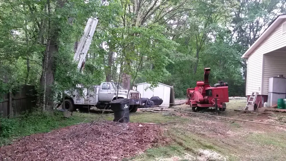 Professional landscaping services experts serving Canton, GA - McGhee Tree Service