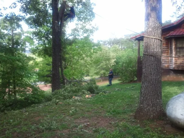 Professional yard maintenance in Canton, GA - McGhee Tree Service