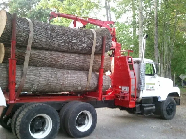 Trusted yard cleanup service in Canton, GA - McGhee Tree Service