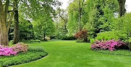 Trusted yard maintenance for homes across Hixson, TN - McGill Lawn Service