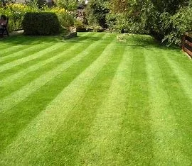 Affordable yard maintenance near you across Hixson, TN - McGill Lawn Service