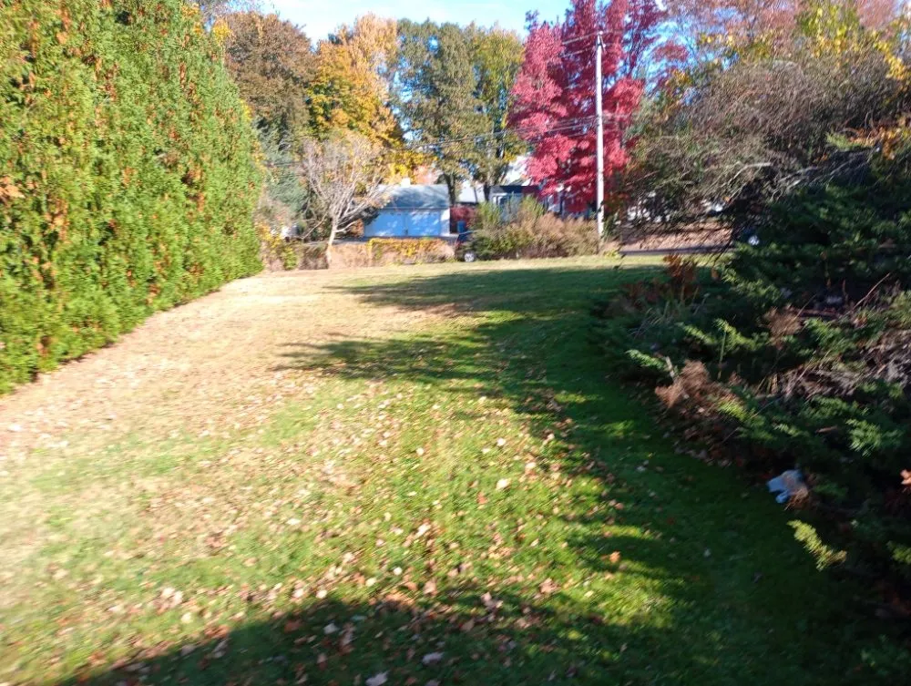 Professional yard maintenance experts serving Middletown, CT - Mcgillicut Landscape
