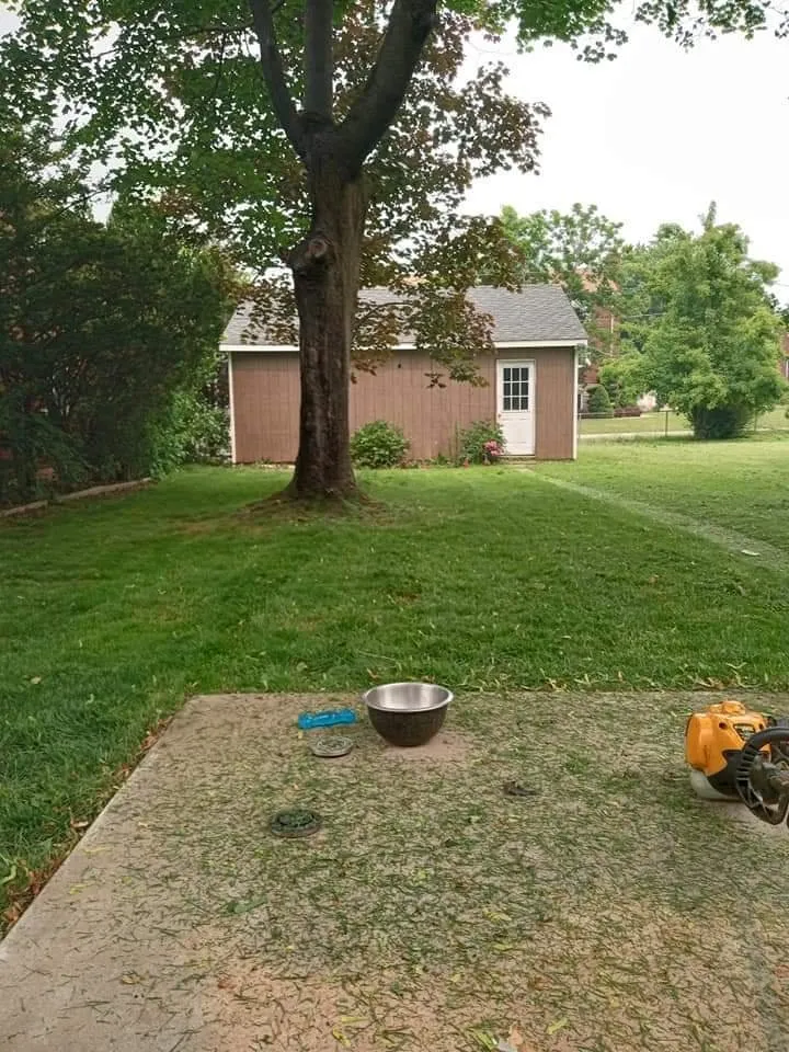 Top-rated yard maintenance experts serving Middletown, CT - Mcgillicut Landscape