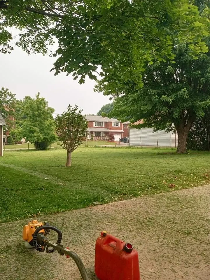 Top-rated landscaping services near you across Middletown, CT - Mcgillicut Landscape