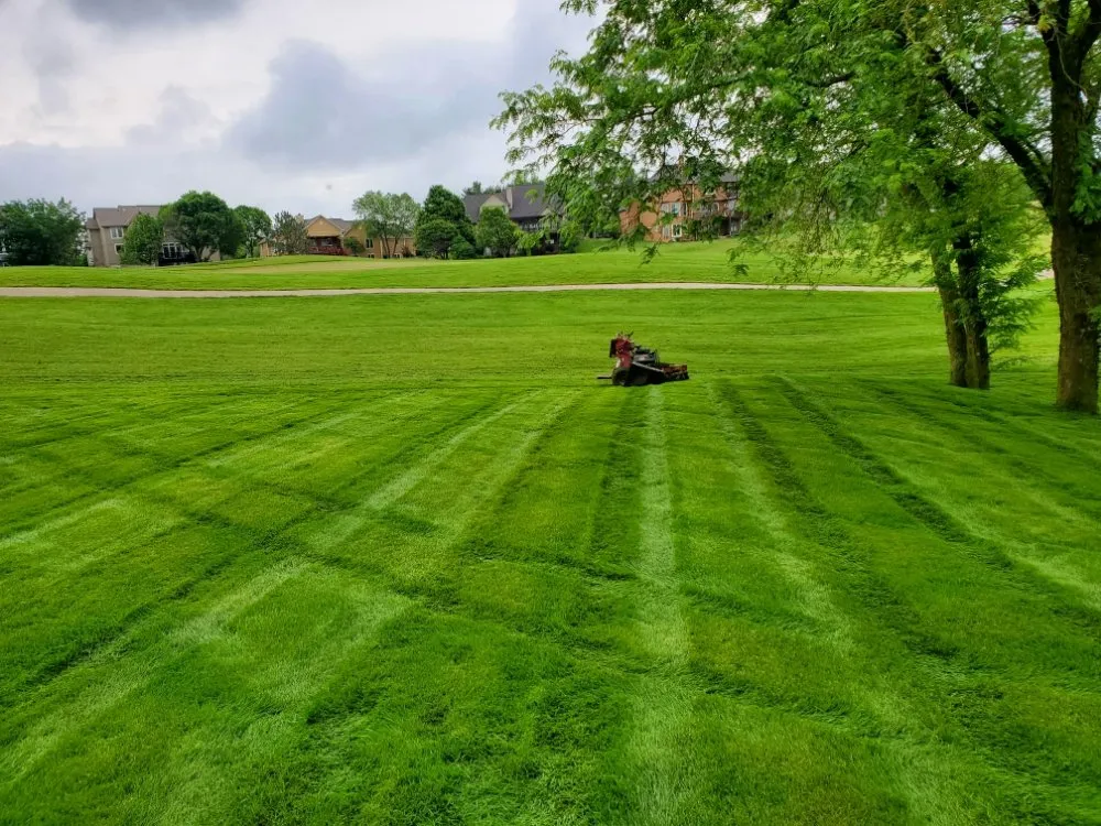 Custom landscaping services for beautiful yards in Overland park, KS by McGinley Lawn