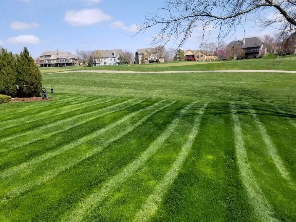 Professional yard maintenance for outdoor upgrades across Overland park, KS - McGinley Lawn
