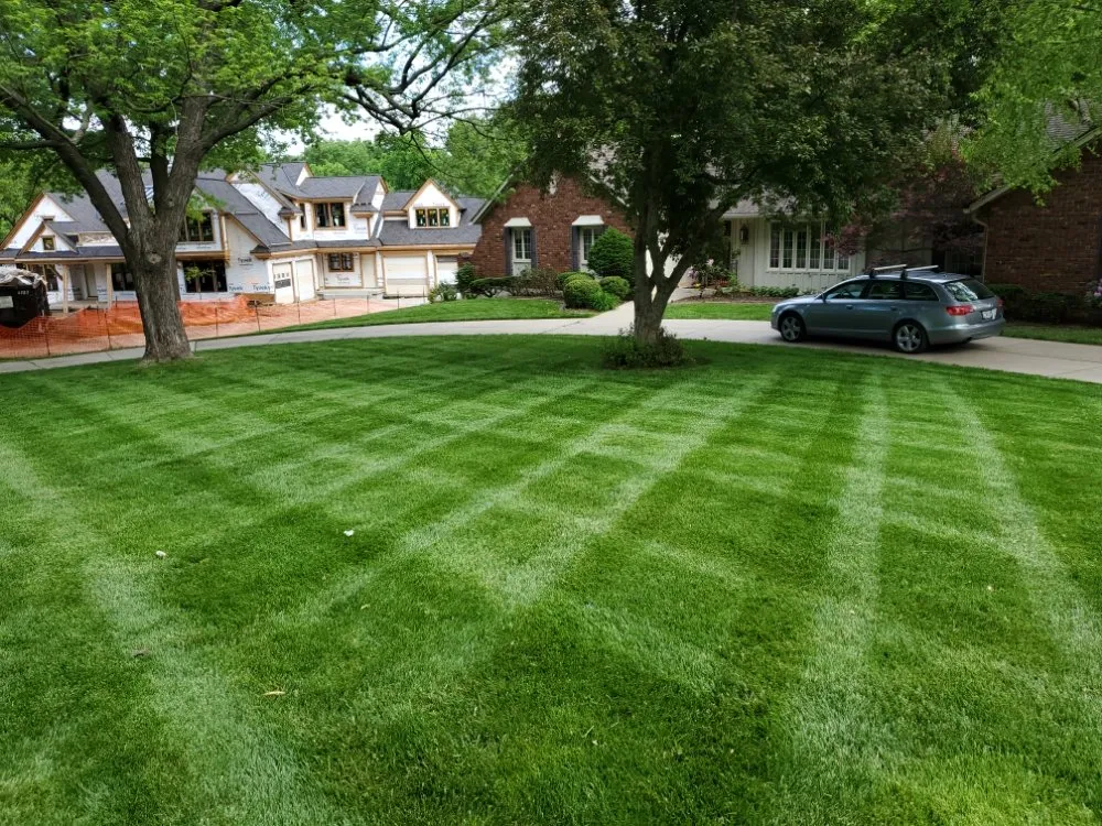 Professional yard cleanup service near you in Overland park, KS by McGinley Lawn