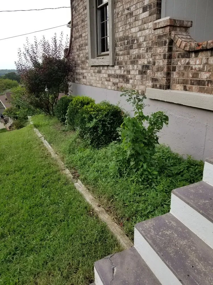 Affordable garden landscaping for year-round maintenance in Overland park, KS by McGinley Lawn