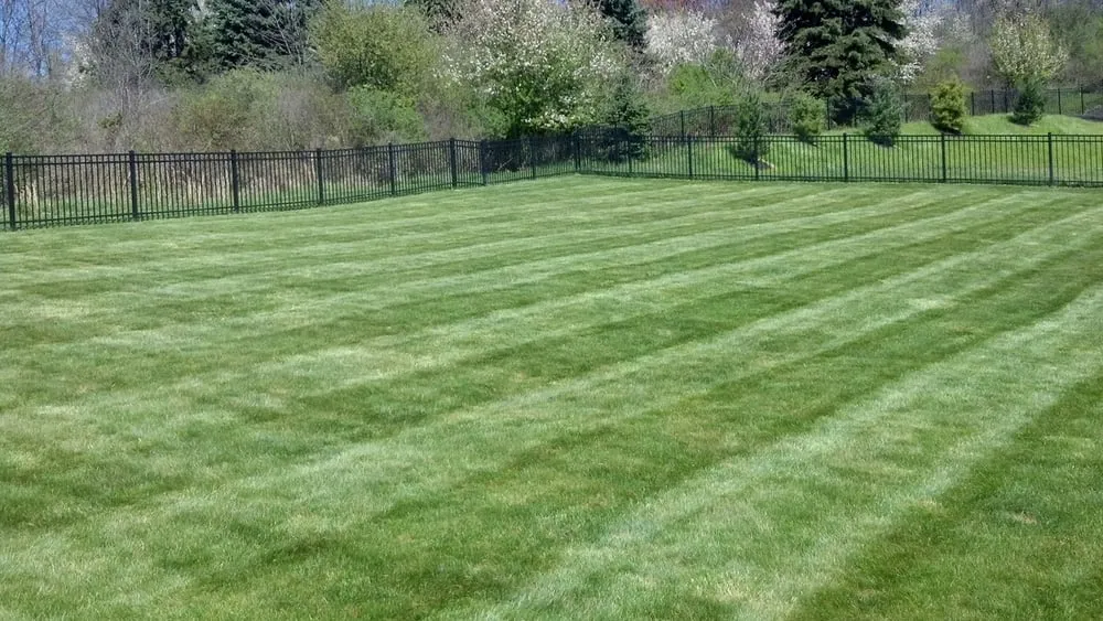 Local lawn care service in Glenshaw, PA by McGinn Lawn And Landscaping