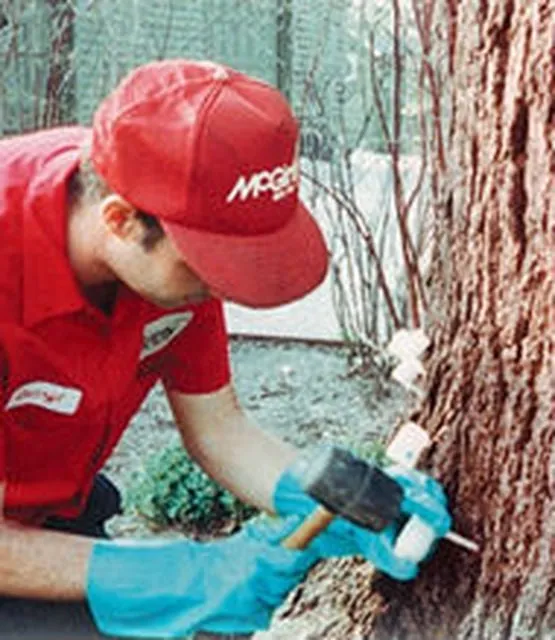 Custom landscape installation in Long Grove, IL by McGinty Bros