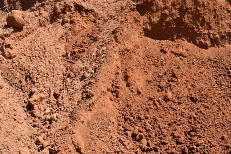 Local landscape installation for homes in Fort Mill, SC by McGirt Supply