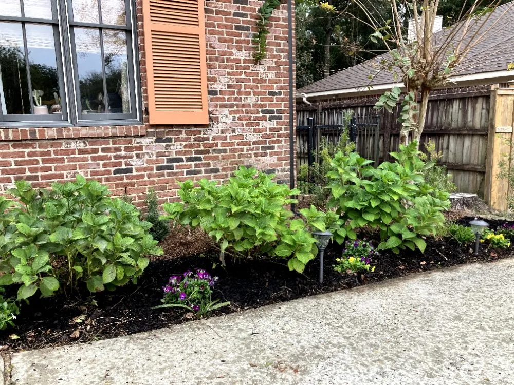 Professional yard maintenance for beautiful yards across Grand Bay, AL - McGrace Outdoors