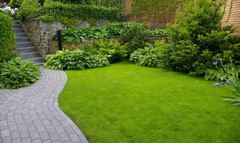 Custom yard cleanup service in Grand Bay, AL by McGrace Outdoors