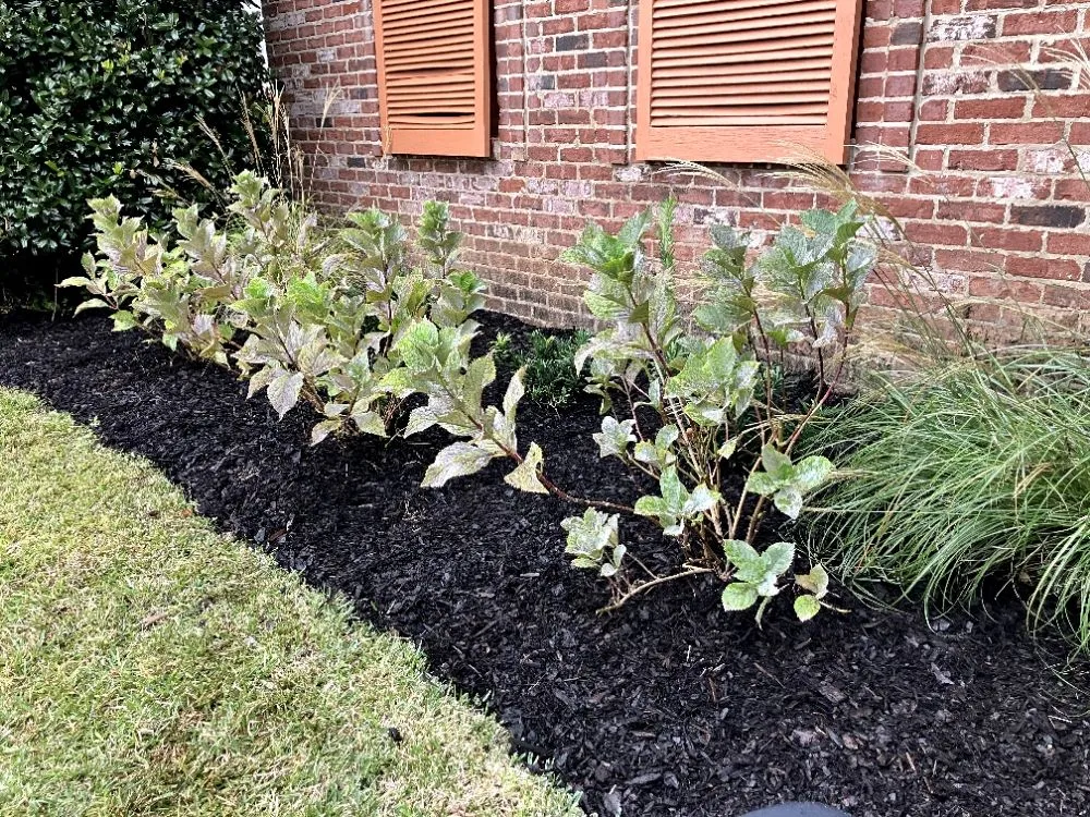 Professional outdoor landscaping in Grand Bay, AL - McGrace Outdoors