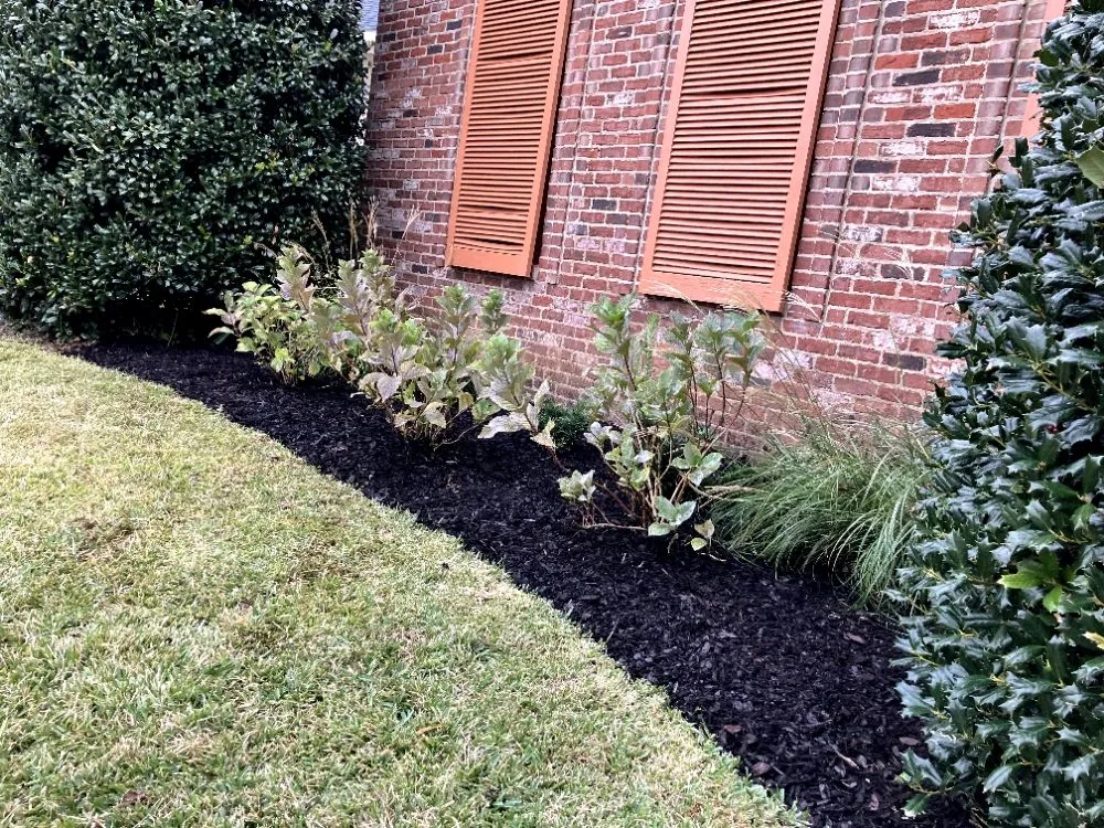 Reliable garden landscaping for year-round maintenance across Grand Bay, AL - McGrace Outdoors