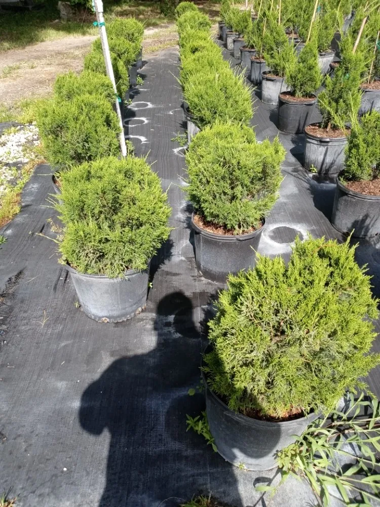 Trusted lawn mowing service for year-round maintenance across Coral Springs, FL - McGrade Landscaping