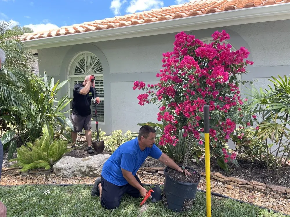 Local outdoor landscaping in Coral Springs, FL by McGrade Landscaping