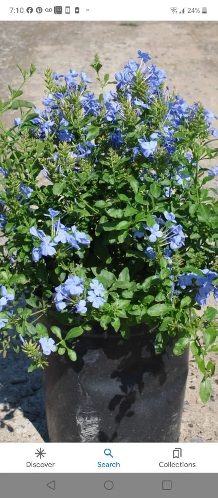 Reliable residential landscaping in Coral Springs, FL by McGrade Landscaping