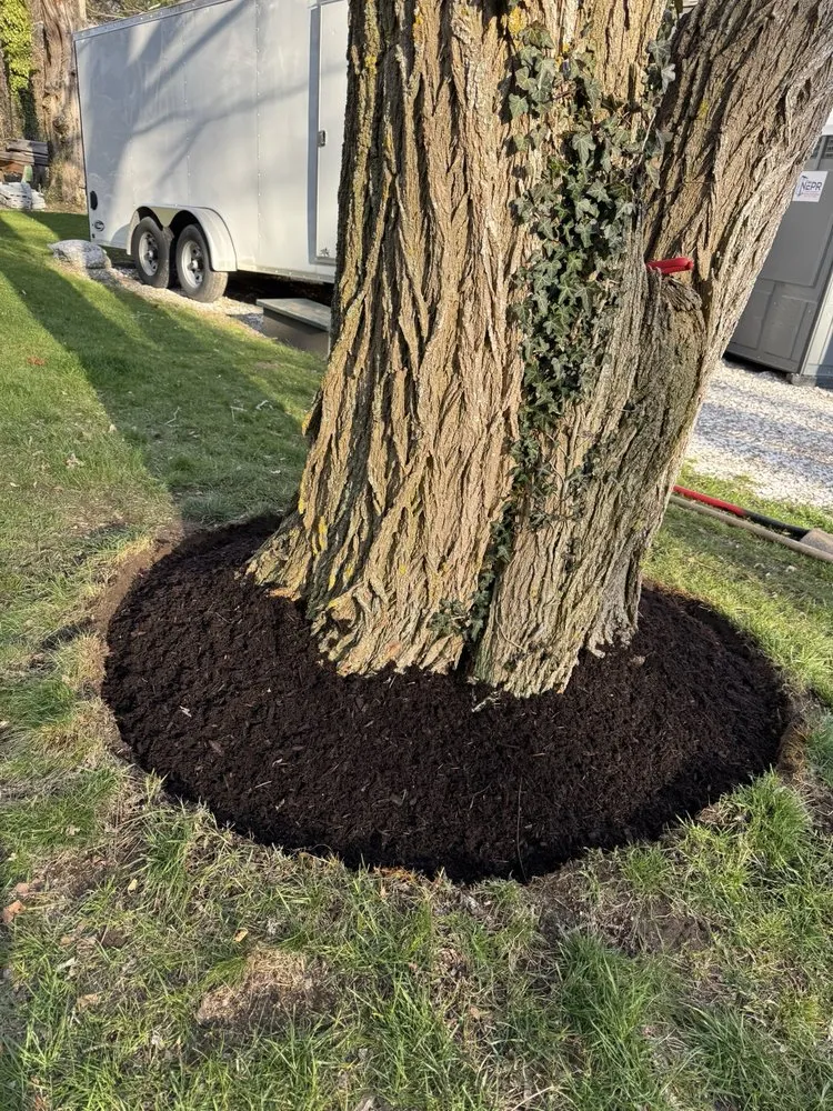 Expert landscaping services experts serving Harwich, MA - McGrath Landscape Contractors