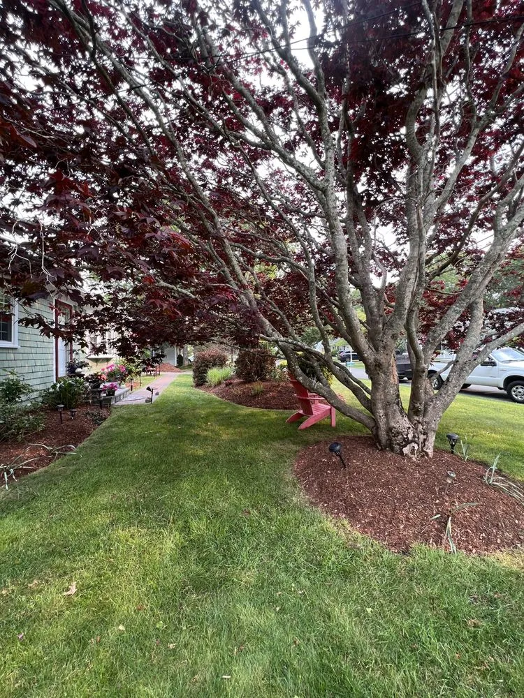 Trusted yard cleanup service experts serving South Yarmouth, MA - McGrath Landscape Contractors