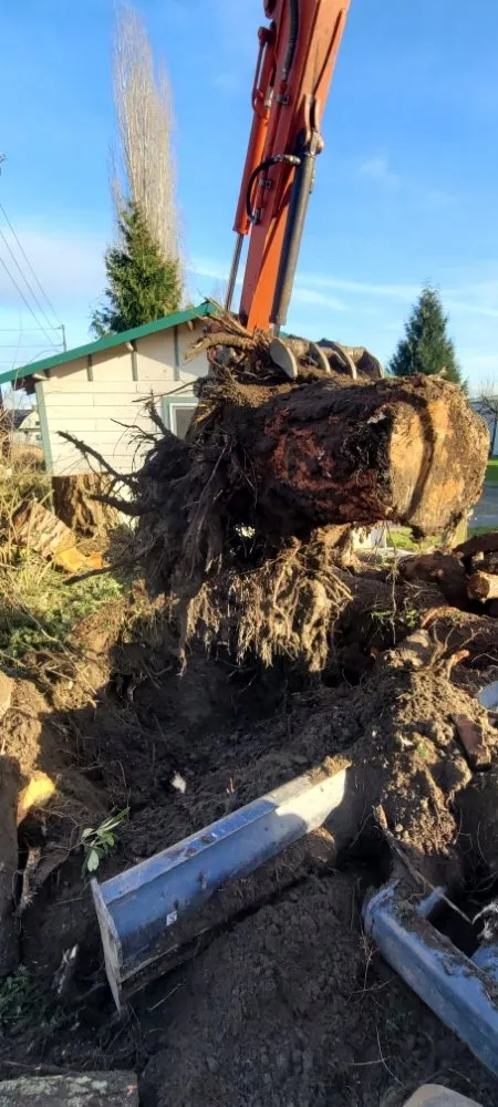 Expert lawn mowing service with custom design in Puyallup, WA by McGraw Land Services