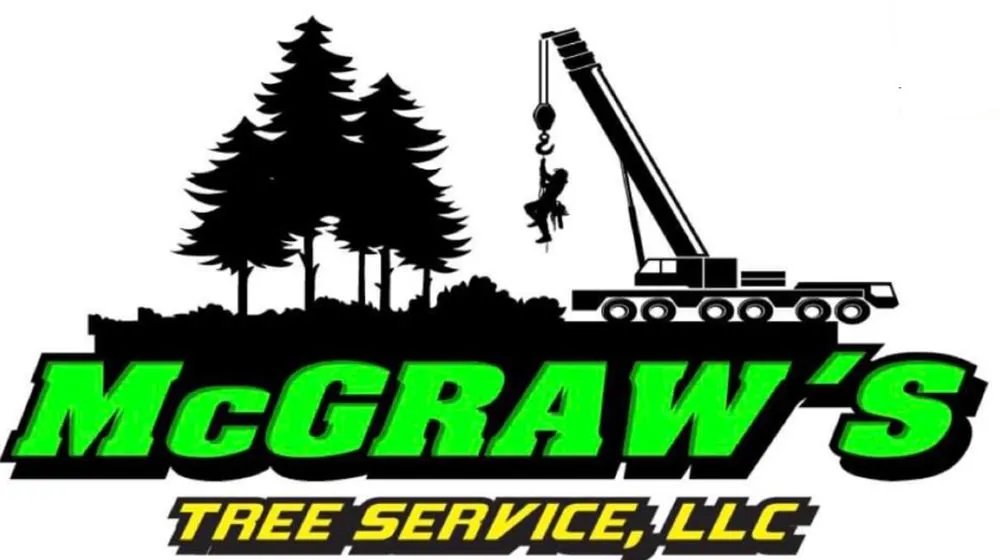Professional landscaping services for outdoor upgrades in DeLand, FL by McGraw's Lawn and Tree Service