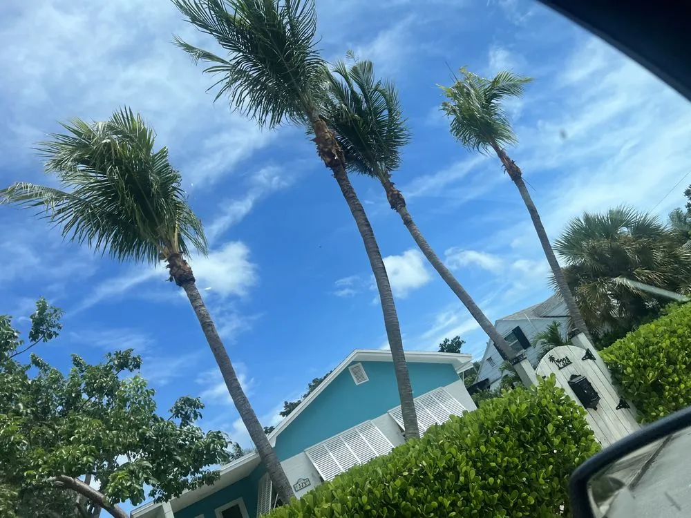 Professional yard cleanup service for homes across Lake Worth, FL - Mcgreevy Landscaping