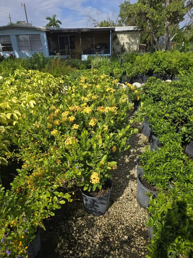 Affordable landscape design experts serving Fort Myers, FL - MCGREGOR GARDEN CENTER