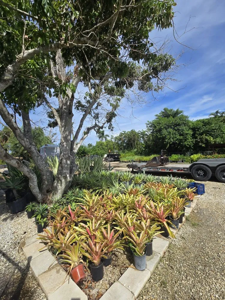Reliable yard cleanup service in Fort Myers, FL - MCGREGOR GARDEN CENTER