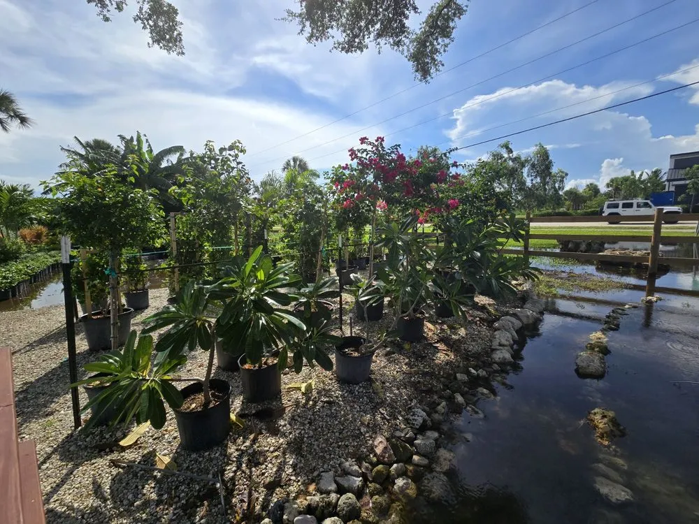 Professional landscape design for year-round maintenance across Fort Myers, FL - MCGREGOR GARDEN CENTER