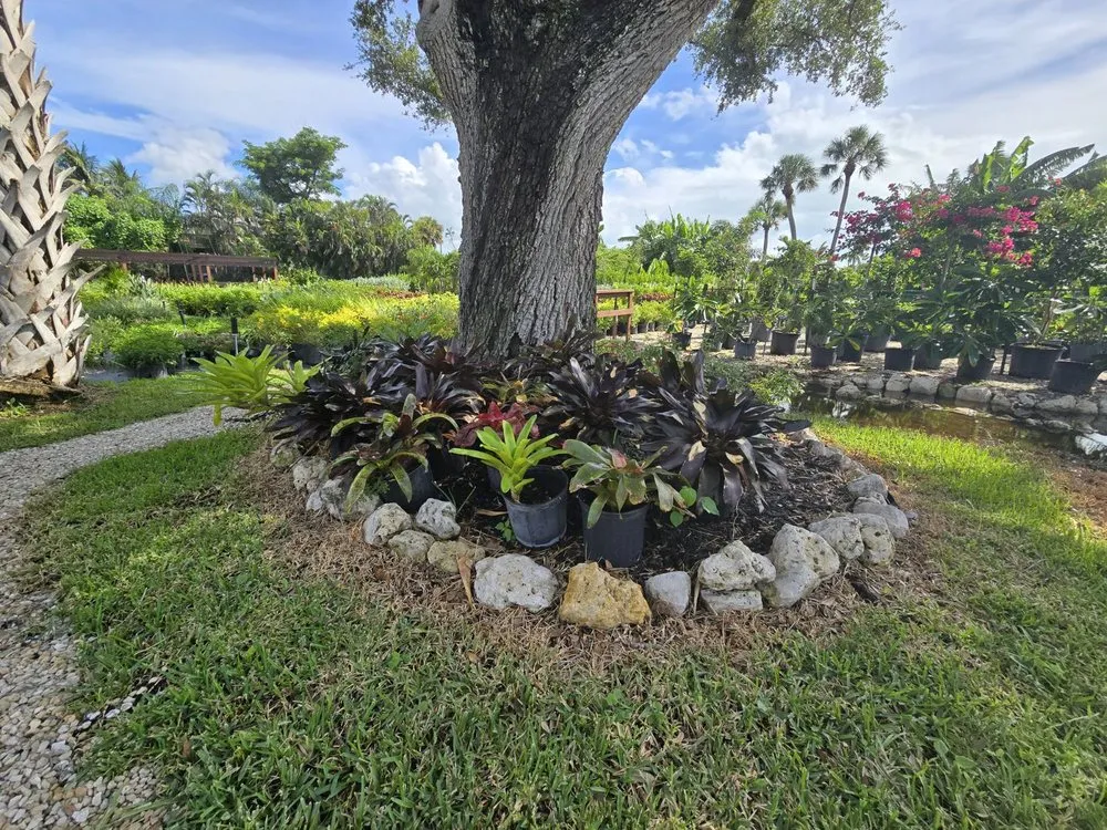 Local garden landscaping experts serving Fort Myers, FL - MCGREGOR GARDEN CENTER