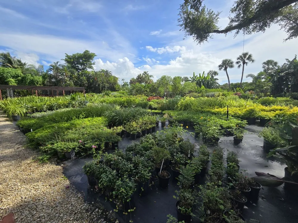 Affordable landscaping services in Fort Myers, FL - MCGREGOR GARDEN CENTER