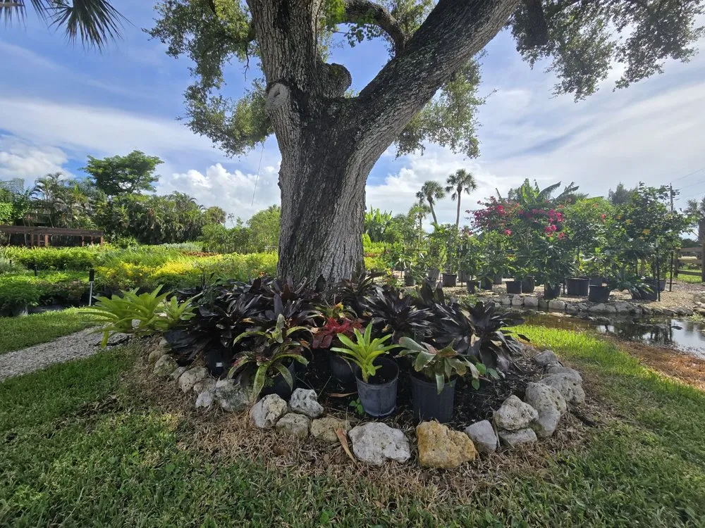 Custom landscape installation for year-round maintenance across Fort Myers, FL - MCGREGOR GARDEN CENTER