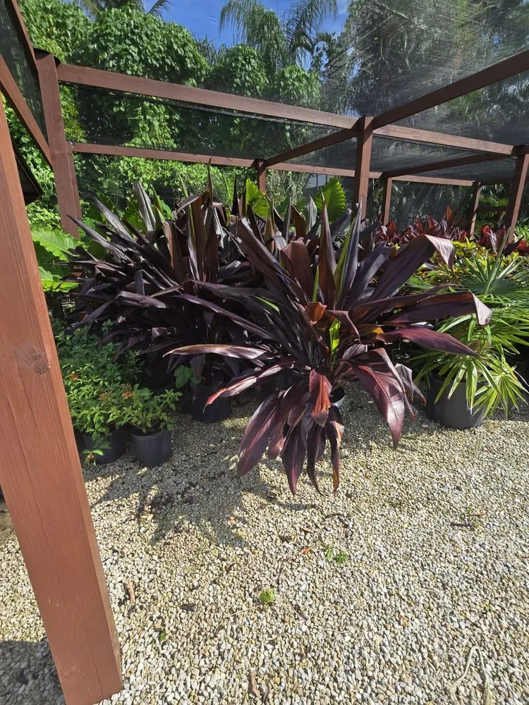 Top-rated landscape installation in Fort Myers, FL - MCGREGOR GARDEN CENTER