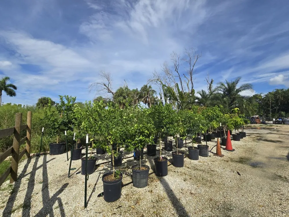 Expert outdoor landscaping in Fort Myers, FL by MCGREGOR GARDEN CENTER