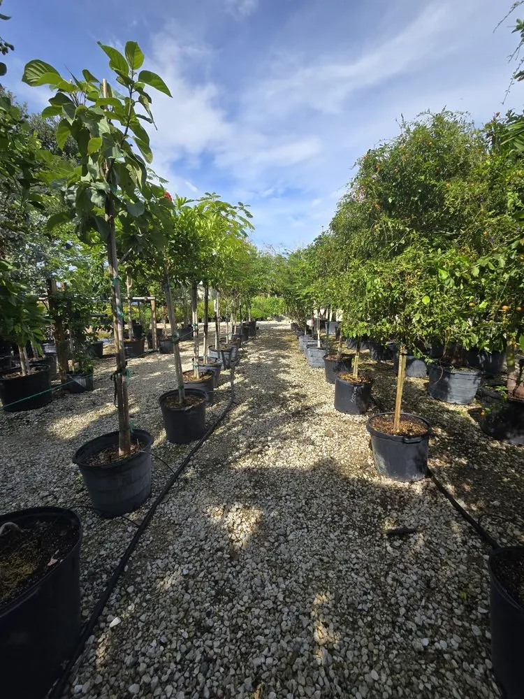 Local garden landscaping with custom design in Fort Myers, FL by MCGREGOR GARDEN CENTER