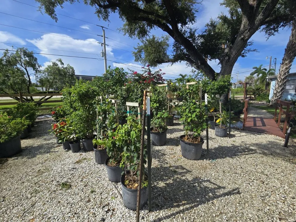 Trusted landscape installation in Fort Myers, FL by MCGREGOR GARDEN CENTER