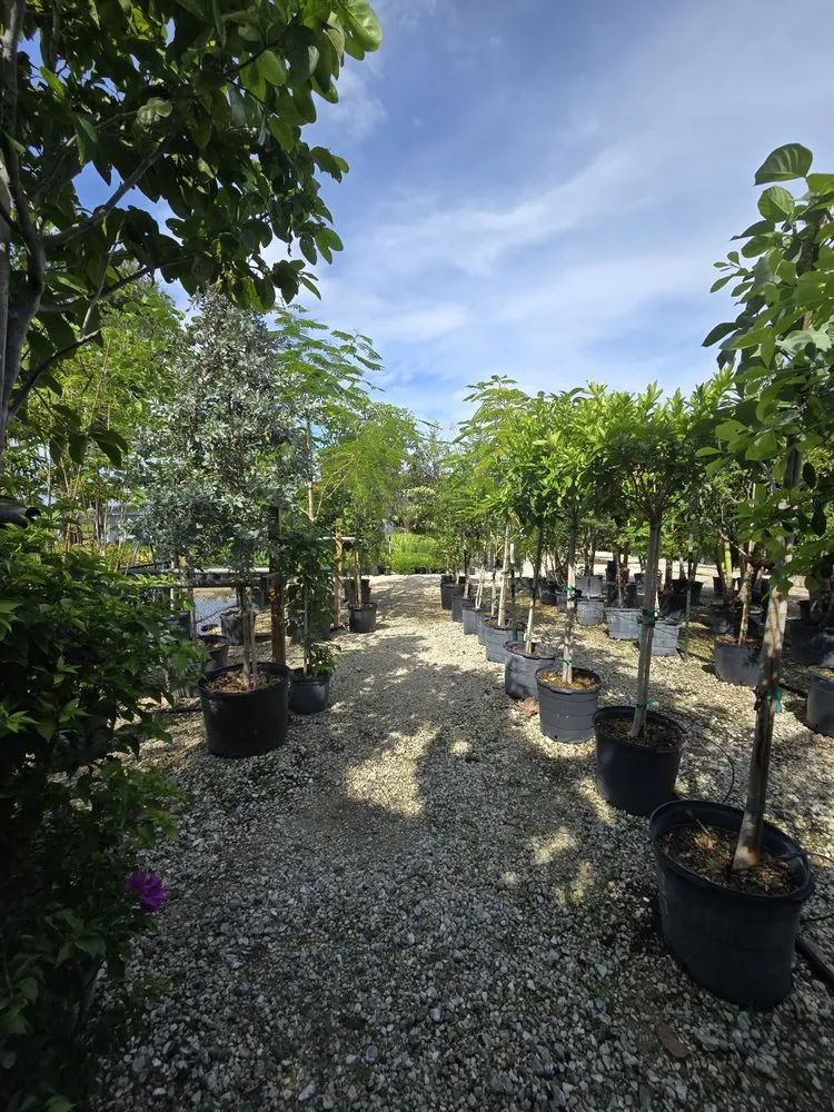 Reliable landscape installation with custom design in Fort Myers, FL by MCGREGOR GARDEN CENTER