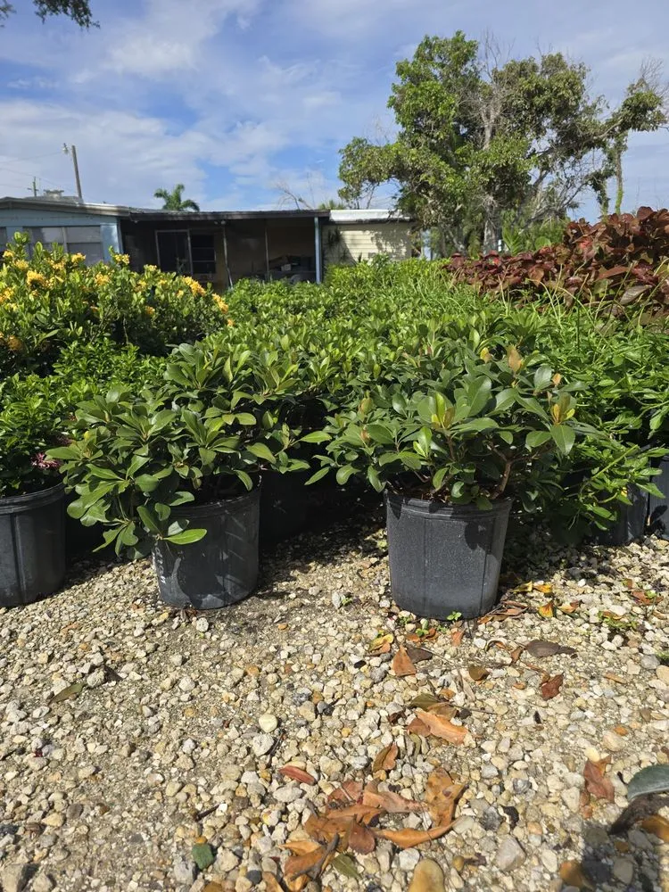 Top-rated landscape installation for year-round maintenance across Fort Myers, FL - MCGREGOR GARDEN CENTER