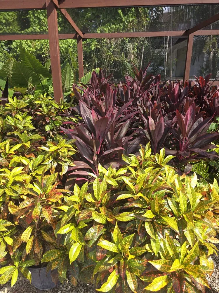 Trusted landscaping services in Fort Myers, FL by MCGREGOR GARDEN CENTER