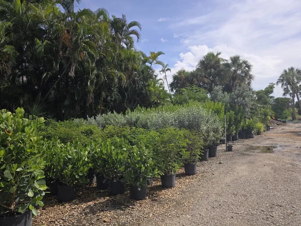 Top-rated lawn care service in Fort Myers, FL - MCGREGOR GARDEN CENTER