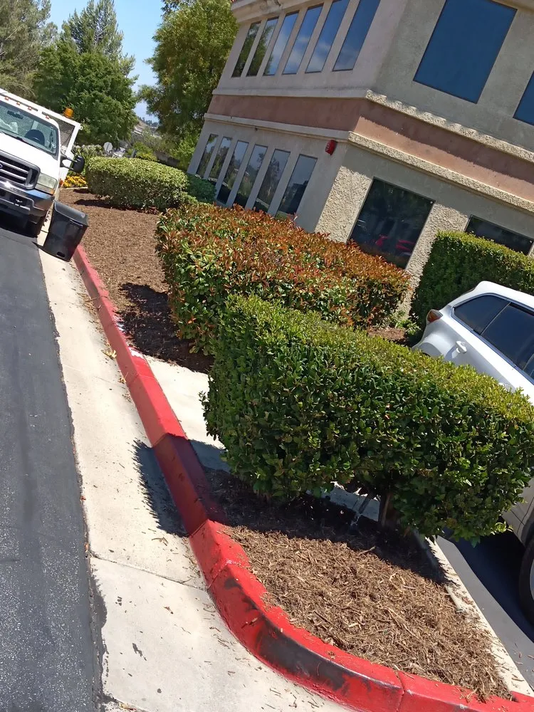 Top-rated landscape installation in San Jacinto, CA - McGregor Landscape