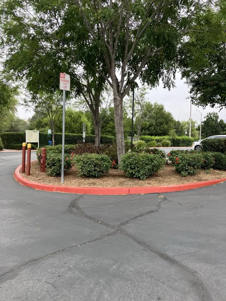 Professional landscape installation in San Jacinto, CA by McGregor Landscape