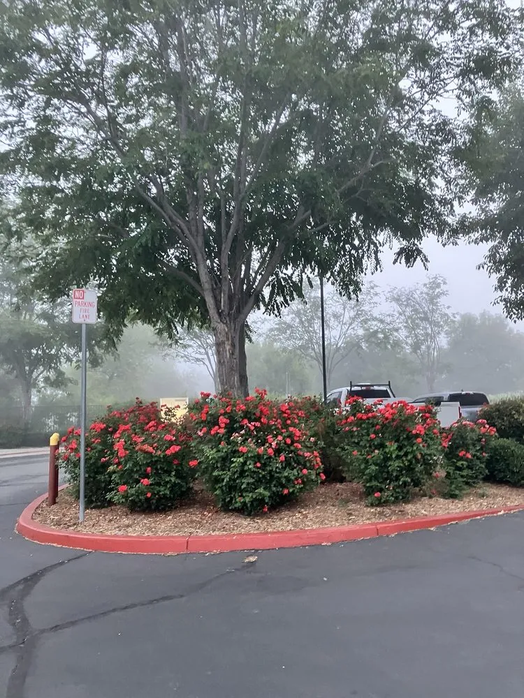 Trusted landscaping services in San Jacinto, CA by McGregor Landscape