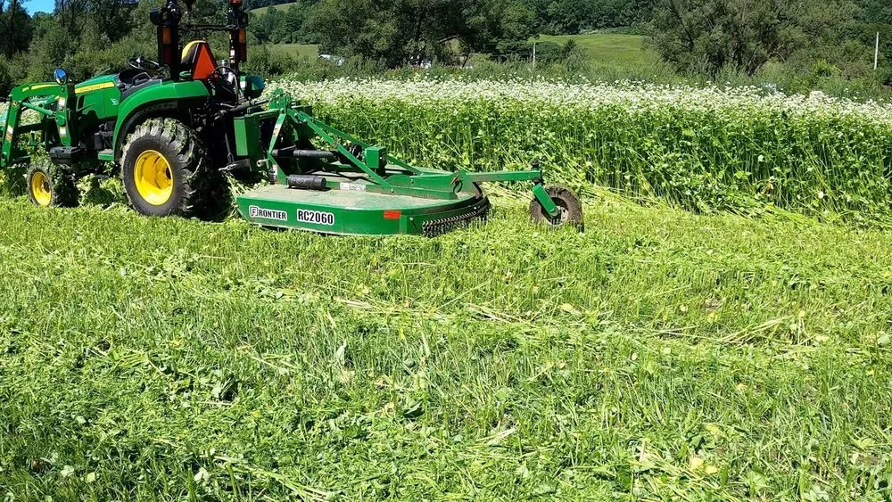 Expert landscape installation experts serving Frederick, MD - McGregor Landscapes