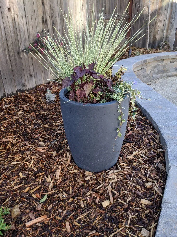 Expert yard maintenance for residential properties in Orangevale, CA by McGuire Earth Works